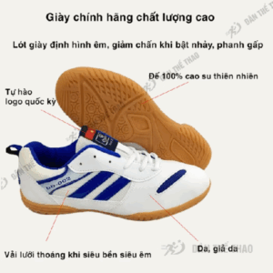 Giày Cầu Lông