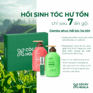 Combo Dầu Gội Xả Bưởi Trà