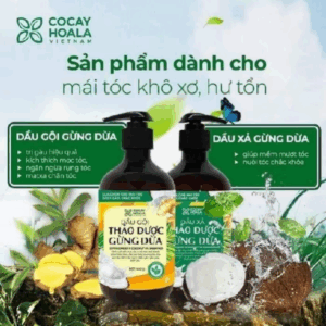 Combo Dầu Gội Xả Thảo Dược Gừng Dừa